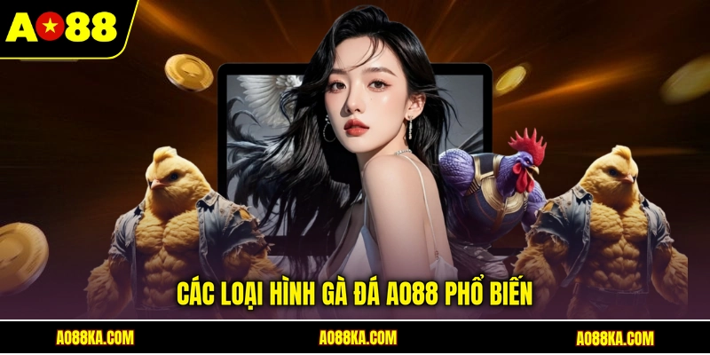 Các loại hình gà đá AO88 phổ biến