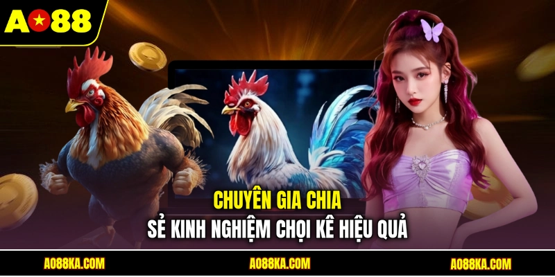 Đá Gà Tre - Trải Nghiệm Loạt Trận Đấu Kịch Tính Tại AO88 4 Chuyên gia chia sẻ kinh nghiệm chọi kê hiệu quả